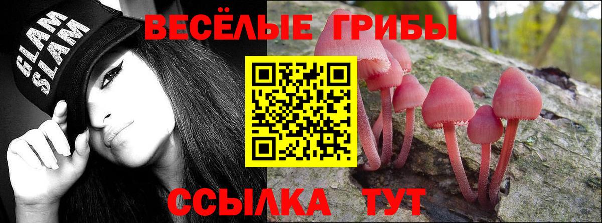 Псилоцибиновые грибы Cubensis Строитель