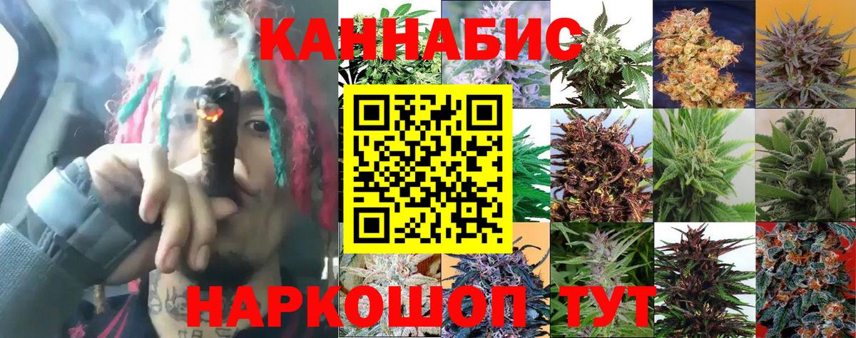 Шишки марихуана тримм  Канабис планчик  Вход с VPN  Строитель  Бошки марихуана Bruce Banner 